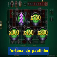 fortuna do paulinho do roupa nova